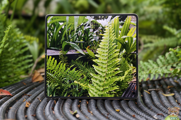 OPPO Find N6展開後的8.12吋大螢幕與對稱邊框設計