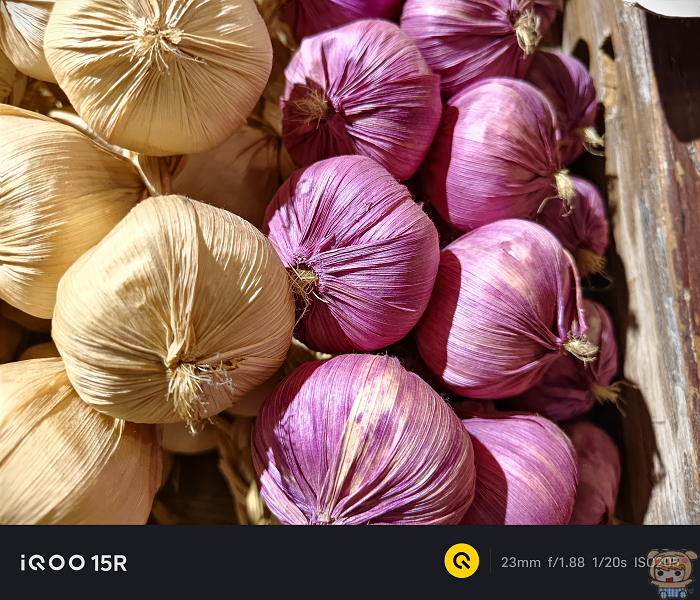 iQOO 15R 室內拍攝樣張 蒜頭