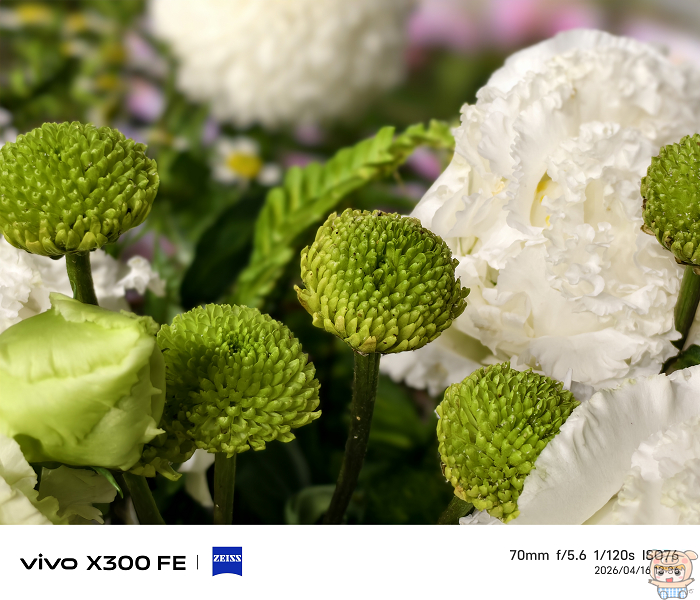 vivo X300 FE 蔡司超級長焦鏡頭細節