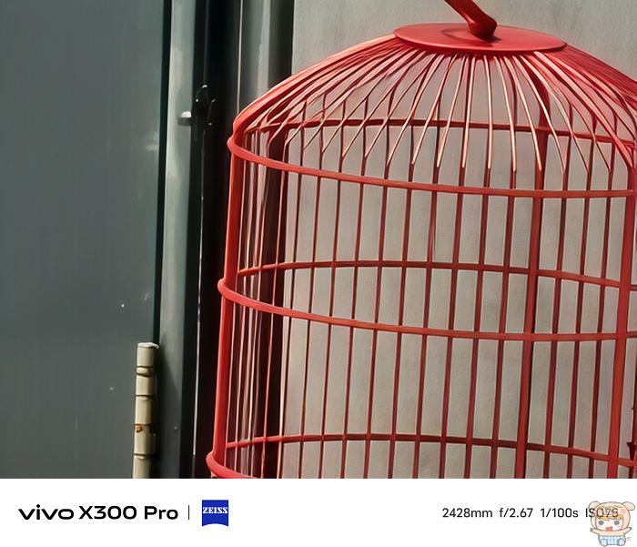 HONOR Magic8 Pro 和 vivo X300 Pro 極限場景實拍對比