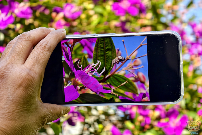HONOR Magic8 Pro 戶外強光下螢幕高亮度顯示測試