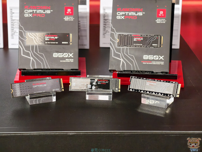 SanDisk Optimus GX PRO PCIe 5.0 M.2 固態硬碟散熱片外觀特寫