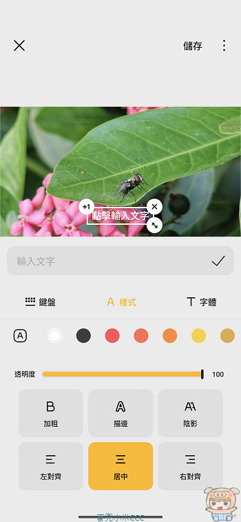內建影片編輯中的文字字幕套用選單,提供豐富的多樣化文字模板