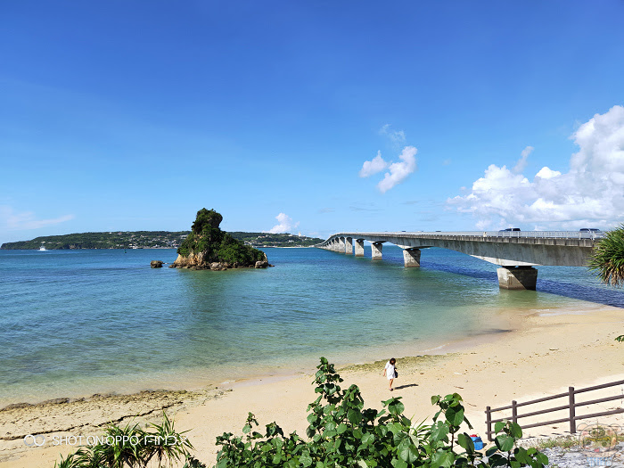 nEO_IMG_IMG20180817154241.jpg