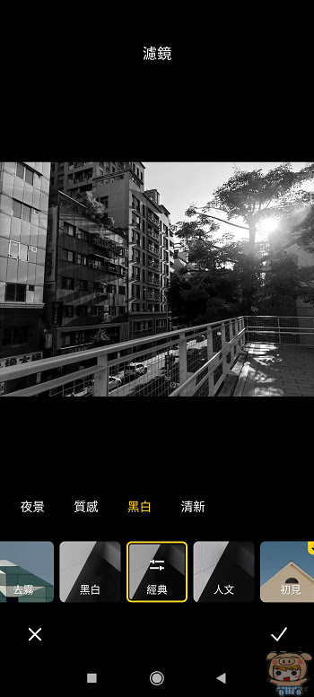 nEO_IMG_1624331983722.jpg