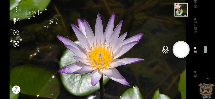 image_1566832378.gif