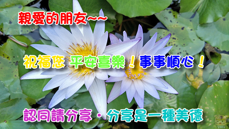 nEO_IMG_IMG201611141224191.jpg