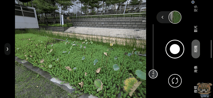 image_1602756518.gif