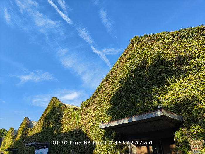 OPPO Find N3 Flip 外螢幕應用大解放~  首