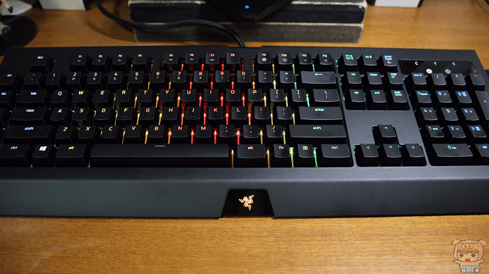波動.gif
