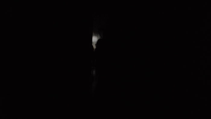 philips.gif