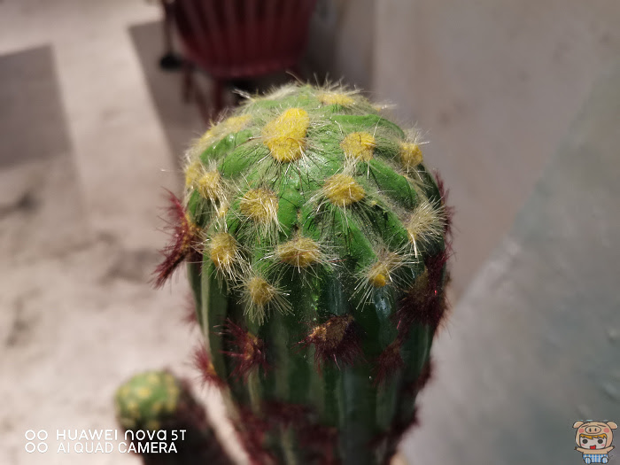 nEO_IMG_IMG_20191005_172455.jpg