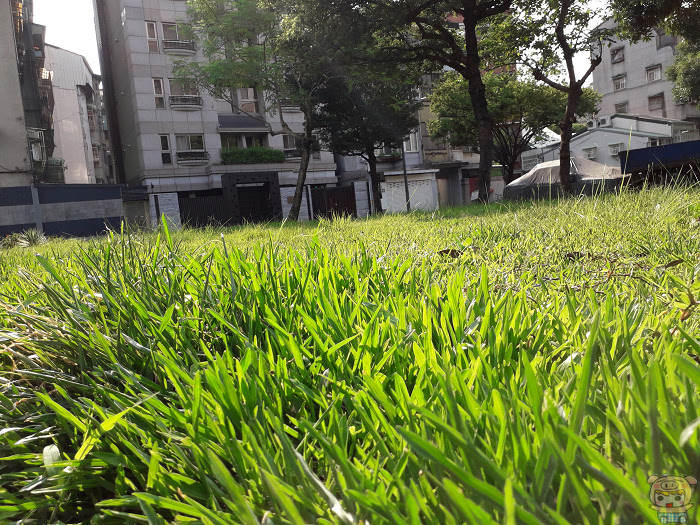 nEO_IMG_20180627_155311.jpg