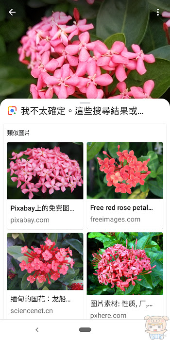 nEO_IMG_Screenshot_20181030-122436.jpg
