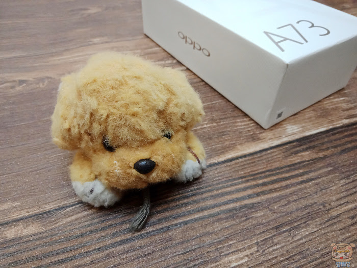 nEO_IMG_IMG20180208150647.jpg