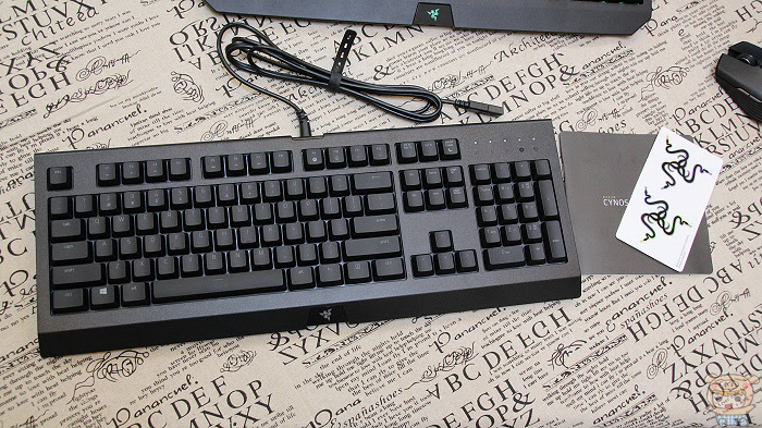 nEO_IMG_IMG_8913.jpg