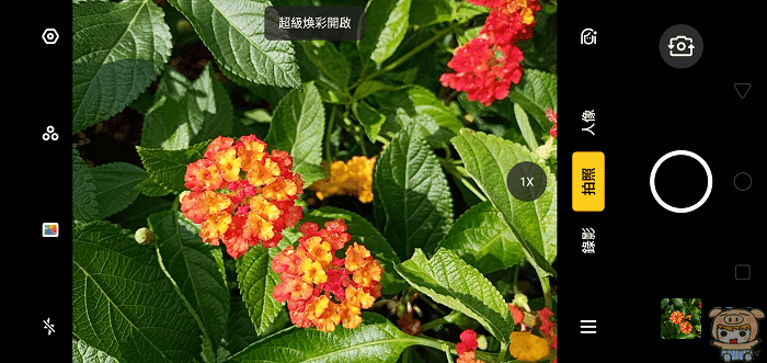 image (65).gif
