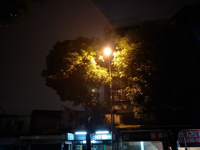 nEO_IMG_IMG20160118095126.jpg