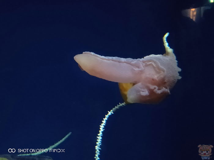 nEO_IMG_IMG20180817120041.jpg