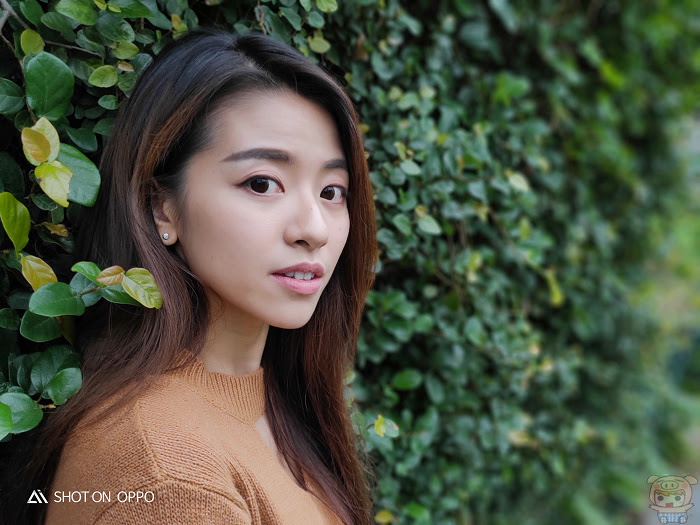 nEO_IMG_IMG20181120152405.jpg