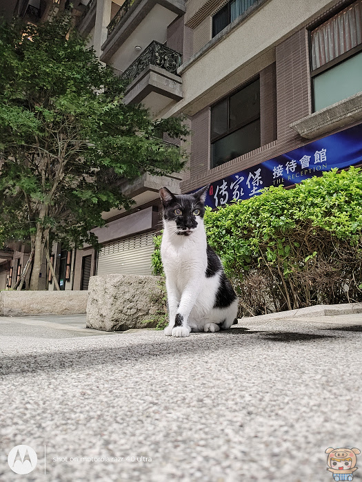 nEO_IMG_IMG_20230727_223419318.jpg