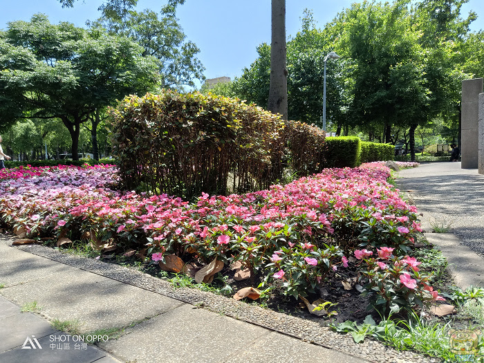 nEO_IMG_IMG20180510131524.jpg
