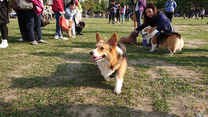 nEO_IMG_DSC_0066.jpg