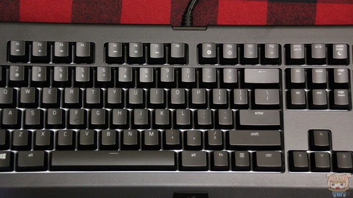 nEO_IMG_IMG_0728.jpg