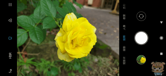 image (1).gif