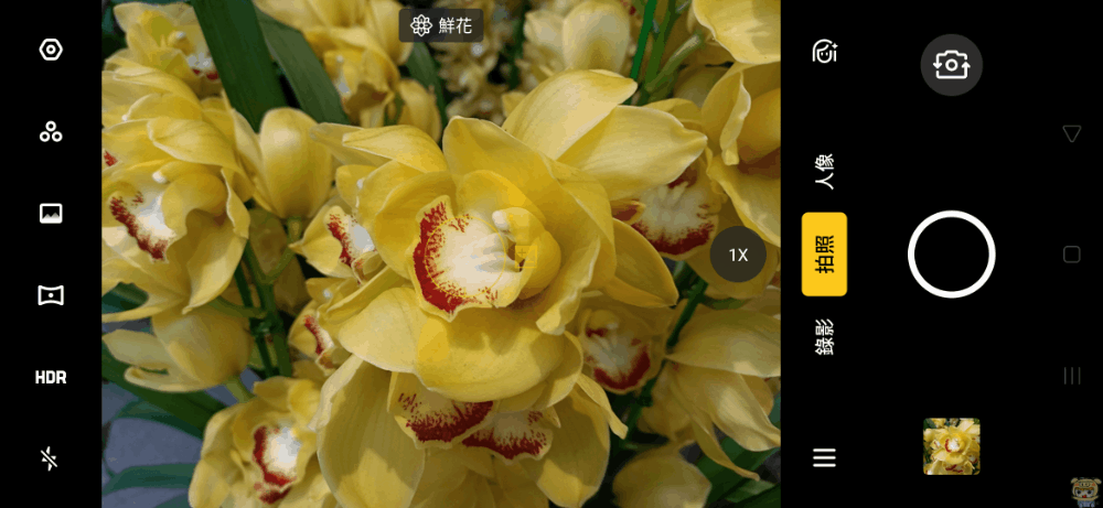 image_1579081924.gif
