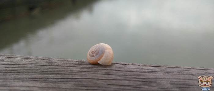 nEO_IMG_DSC_0482.jpg