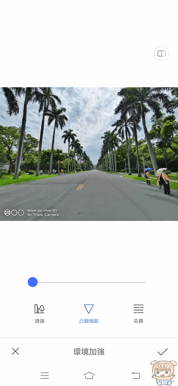image_1564948571.gif
