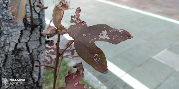 NEO_IMG_20180113_165026006.jpg