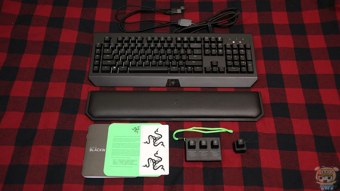 nEO_IMG_IMG_0703.jpg