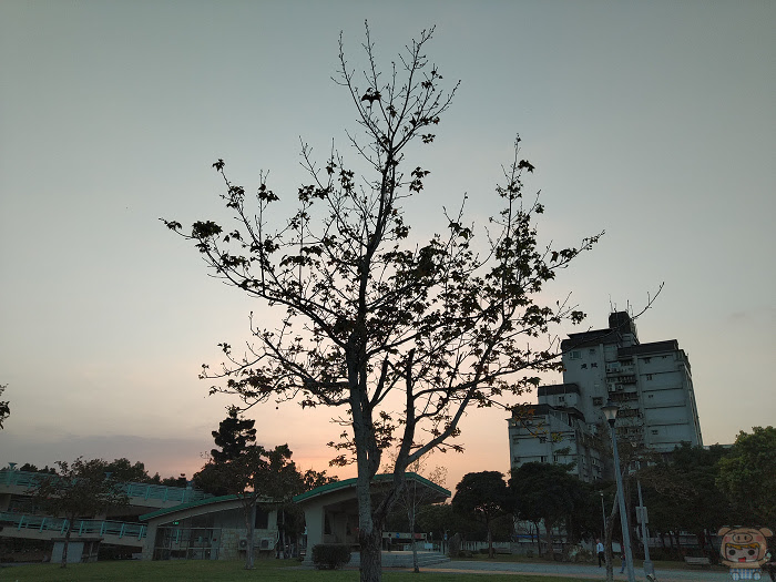nEO_IMG_IMG_20190206_173244.jpg