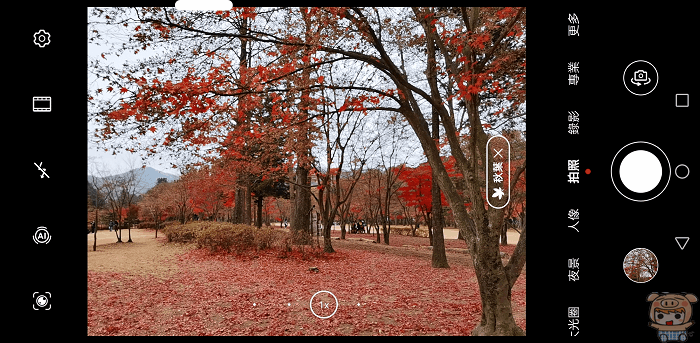 image_1574047685.gif