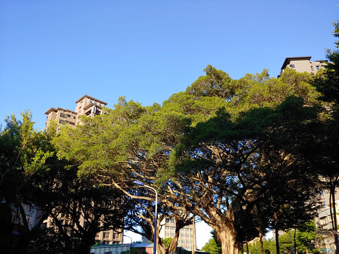 nEO_IMG_20180709_115357.jpg