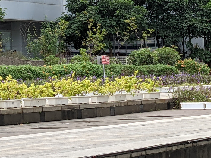 nEO_IMG_PXL_20201015_041642784.jpg