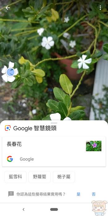 nEO_IMG_Screenshot_20181030-122138.jpg