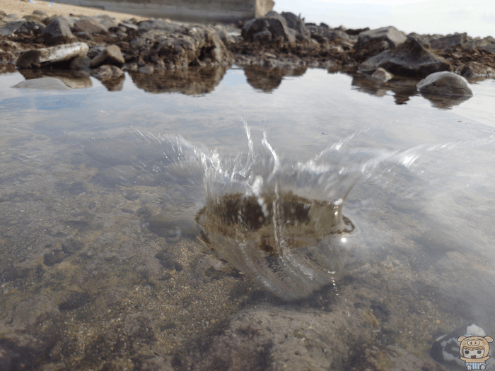 image_1663154472.gif