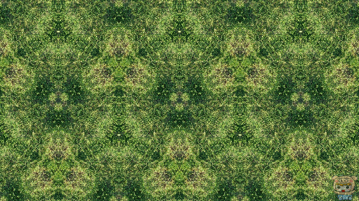 nEO_IMG_DSC_0019.jpg