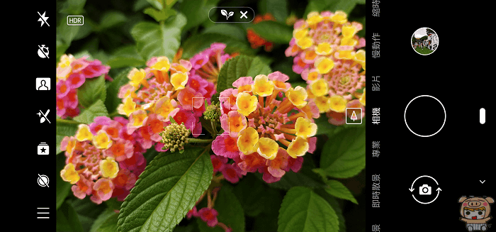 image (31).gif