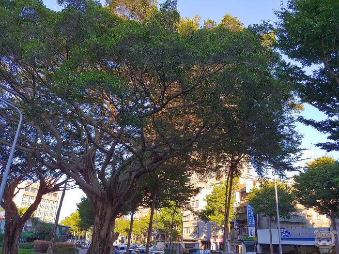 nEO_IMG_20180709_120000_HDR.jpg