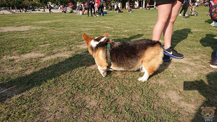 nEO_IMG_DSC_0068.jpg