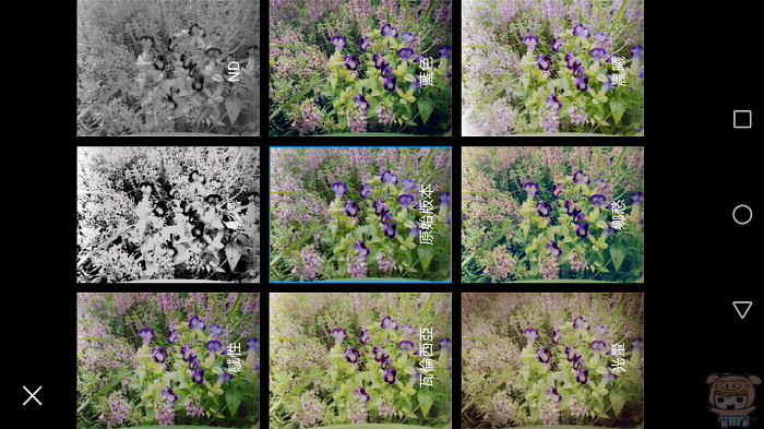 image (30).gif
