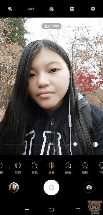image_1573704101.gif