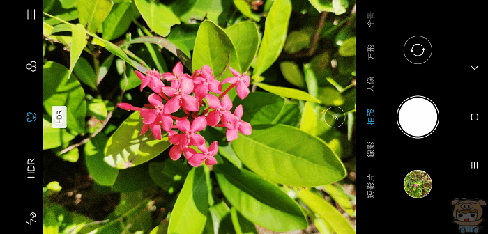 image (1).gif