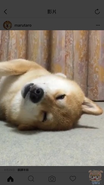 nEO_IMG_IG zoom_89.jpg