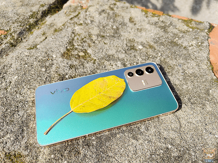 image_1641804600.gif