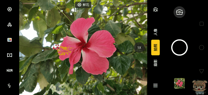 image (62).gif